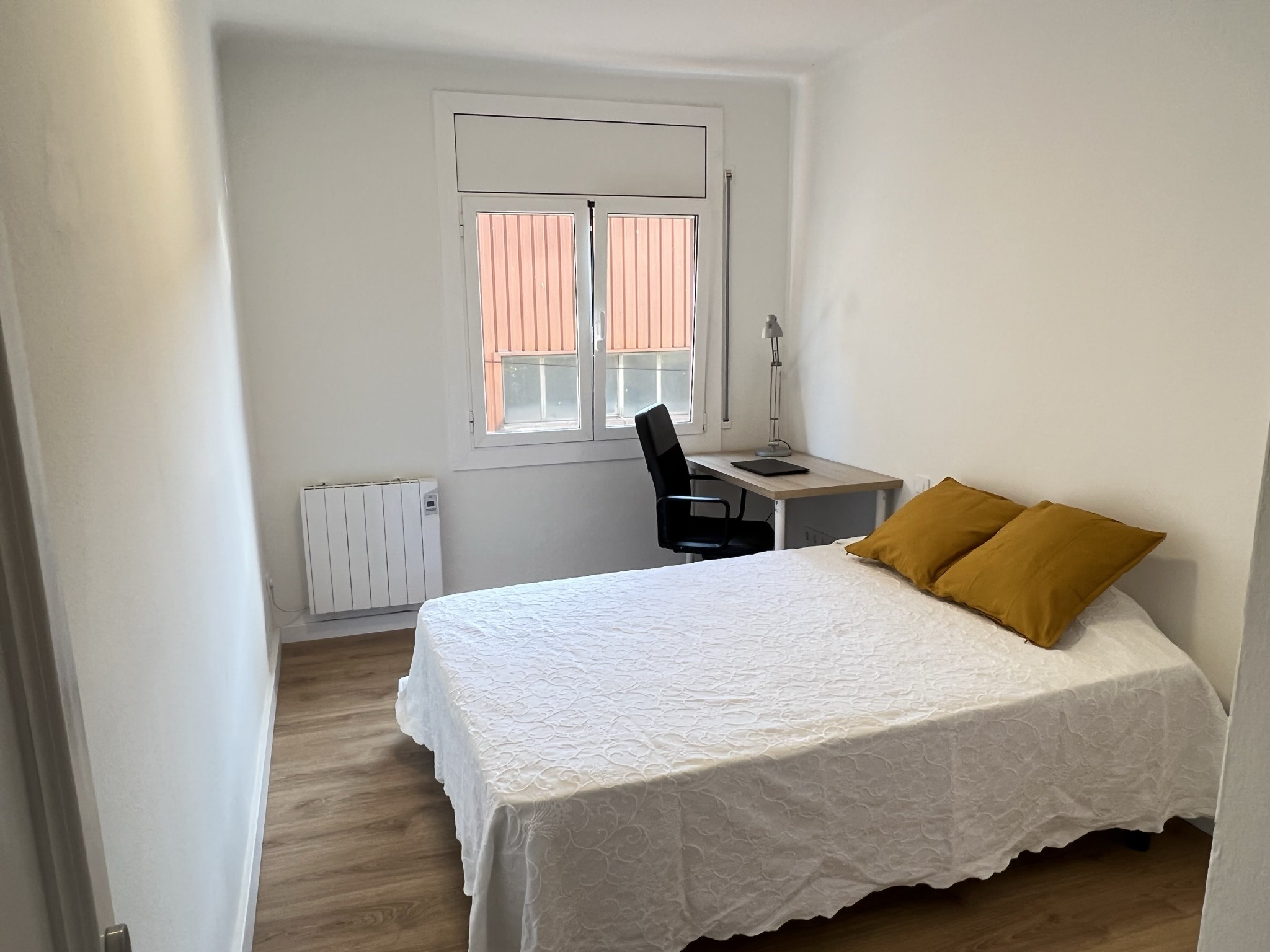 Vista de Girona des del riu Onyar